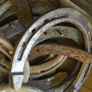 Genuine Lucky Horse Shoe